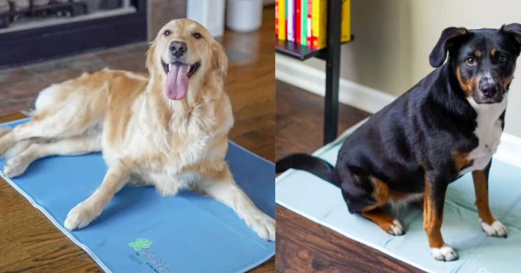 BEST COOLING MATS FOR LARGE DOGS